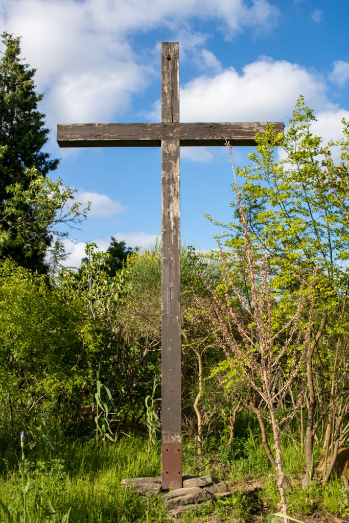 A weathered wooden cross stands in a botanic garden against a vibrant blue sky and flourishing greenery.